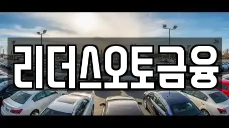 대구광역시 중구 향촌동 장기렌트카 전문 리더스오토금융
