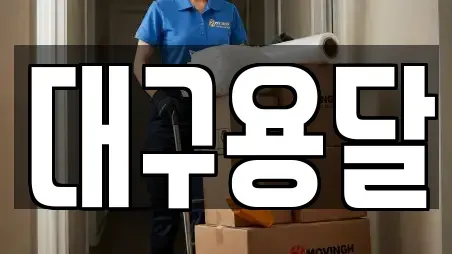 대구용달