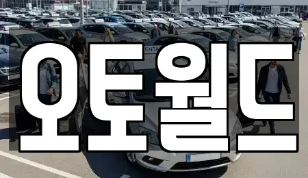 대전 동구 천동 중고차 전문 오토월드