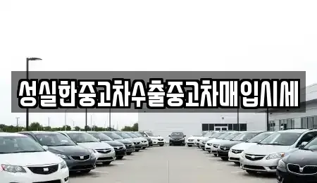 대전 동구 천동 중고차매입 전문 성실한중고차수출중고차매입시세
