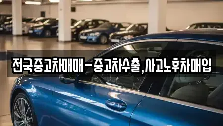 대전 서구 둔산동 중고차 전문 전국중고차매매-중고차수출,사고노후차매입