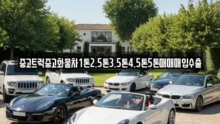 대전 서구 둔산동 중고차 전문 중고트럭중고화물차1톤2.5톤3.5톤4.5톤5톤매매매입수출