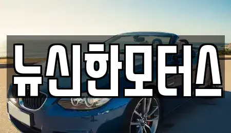 대전 서구 우명동 중고차 전문 뉴신한모터스