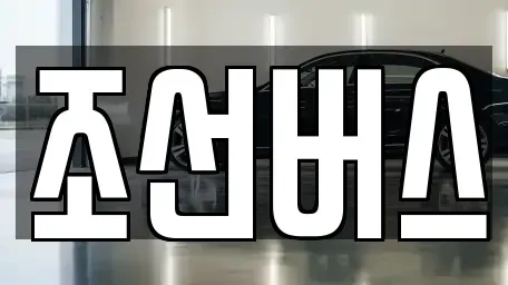 대전 서구 우명동 중고차 전문 조선버스
