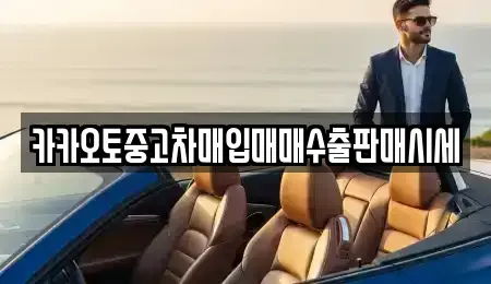 대전 서구 우명동 중고차 전문 카카오토중고차매입매매수출판매시세