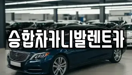대전 중구 선화동 렌트카 전문 승합차카니발렌트카