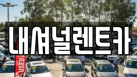 대전광역시 동구 단기렌트카 전문 내셔널렌트카
