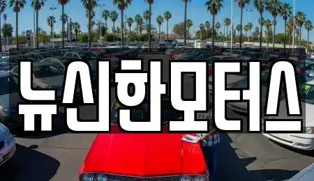 대전광역시 동구 효동 중고차 전문 뉴신한모터스