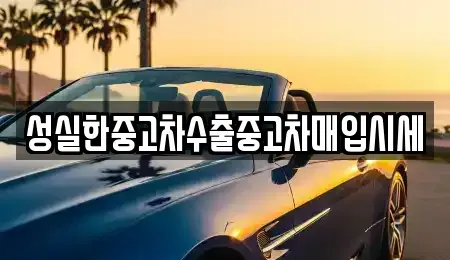 대전광역시 동구 효동 중고차 전문 성실한중고차수출중고차매입시세