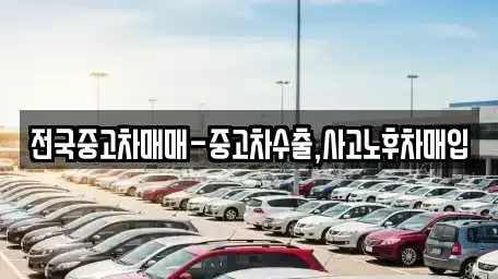 대전광역시 동구 효동 중고차 전문 전국중고차매매-중고차수출,사고노후차매입