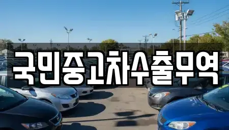 대전광역시 동구 효평동 중고차매매,단기렌트카,중고차매입,장기렌트카,중고차,렌트카