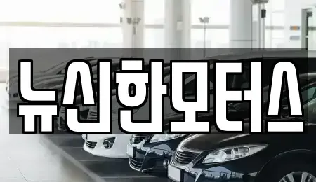 대전광역시 동구 효평동 중고차매매 전문 뉴신한모터스