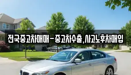 대전광역시 서구 괴정동 중고차,렌트카,중고차매입,중고차매매,장기렌트카,단기렌트카