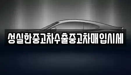 대전광역시 유성구 구암동 중고차매입 전문 성실한중고차수출중고차매입시세
