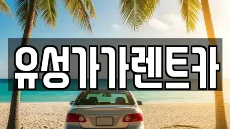 대전광역시 유성구 방현동 렌트카 전문 유성가가렌트카