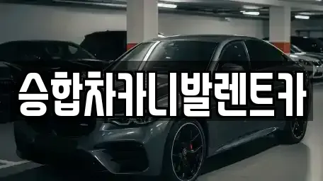 대전광역시 중구 은행동 렌트카 전문 승합차카니발렌트카