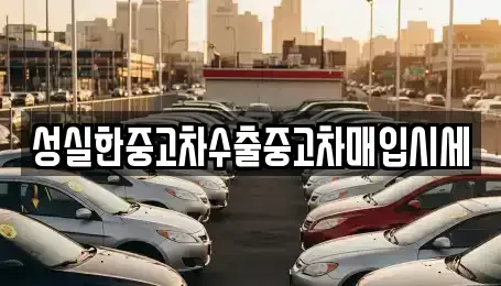 대전광역시 중구 은행동 중고차 전문 성실한중고차수출중고차매입시세