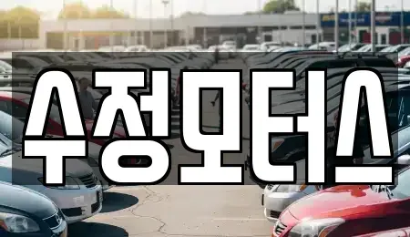 대전광역시 중구 은행동 중고차 전문 수정모터스