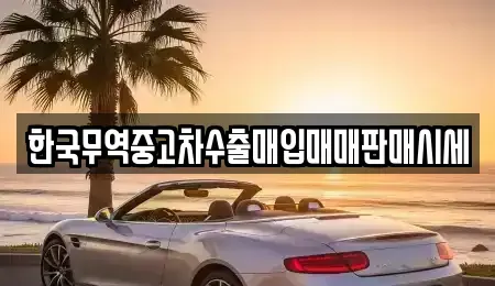 대전광역시 중구 은행동 중고차매입 전문 한국무역중고차수출매입매매판매시세