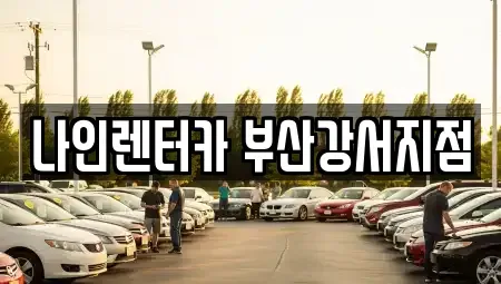 부산 강서구 녹산동 렌트카 전문 나인렌터카 부산강서지점
