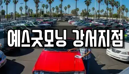부산 강서구 녹산동 렌트카 전문 예스굿모닝 강서지점