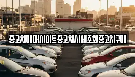 부산 강서구 녹산동 중고차 전문 중고차매매사이트중고차시세조회중고차구매
