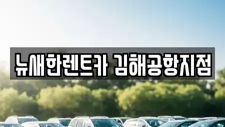 부산 강서구 대저2동 렌트카 전문 뉴새한렌트카 김해공항지점