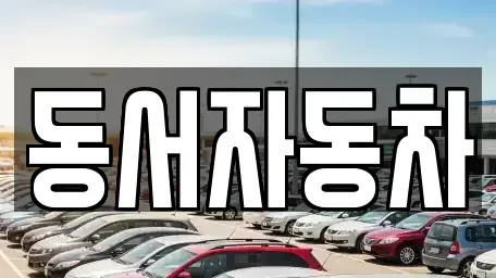 부산 강서구 대저2동 중고차 전문 동서자동차