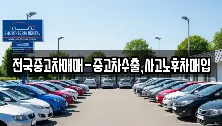 부산 강서구 죽동동 단기렌트카,중고차매입,중고차매매,중고차,렌트카,장기렌트카