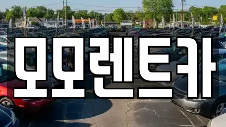 부산 기장군 정관읍 렌트카 전문 모모렌트카