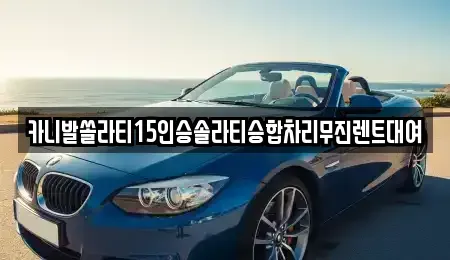 부산 부산진구 부암동 렌트카 전문 카니발쏠라티15인승솔라티승합차리무진렌트대여