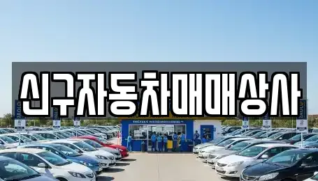 부산 부산진구 부암동 중고차 전문 신구자동차매매상사