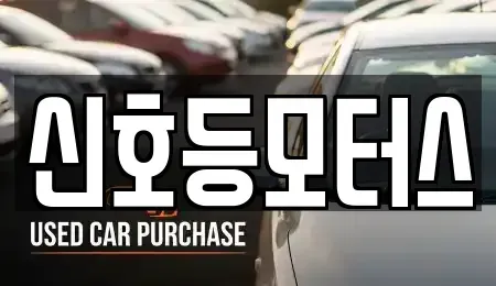 부산 부산진구 부암동 중고차 전문 신호등모터스