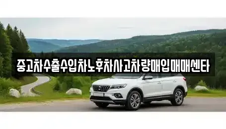 부산 부산진구 부암동 중고차매입 전문 중고차수출수입차노후차사고차량매입매매센타