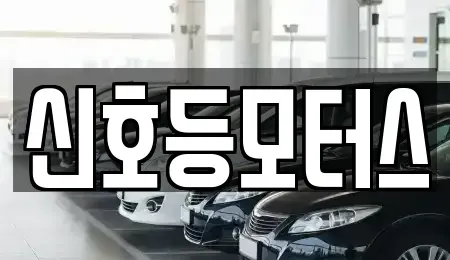 부산 북구 구포동 중고차매매 전문 신호등모터스