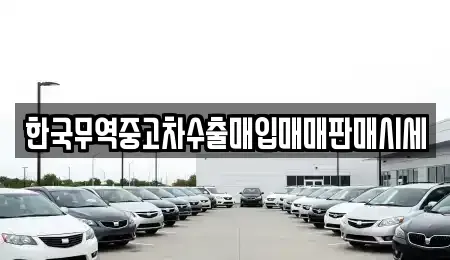 부산 북구 구포동 중고차매입 전문 한국무역중고차수출매입매매판매시세