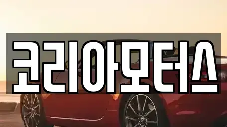 부산 서구 동대신동1가 중고차매매 전문 코리아모터스