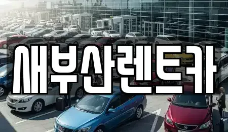 부산 서구 부민동3가 렌트카 전문 새부산렌트카