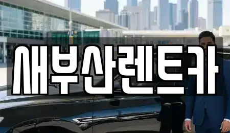 부산 서구 충무동2가 렌트카 전문 새부산렌트카