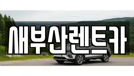 부산 서구 토성동2가 렌트카 전문 새부산렌트카