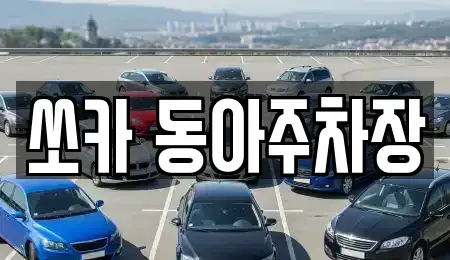 부산 서구 토성동2가 렌트카 전문 쏘카 동아주차장