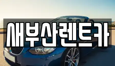 부산 영도구 남항동3가 렌트카 전문 새부산렌트카