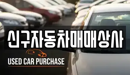 부산 영도구 남항동3가 중고차매매,단기렌트카,중고차매입,장기렌트카,중고차,렌트카
