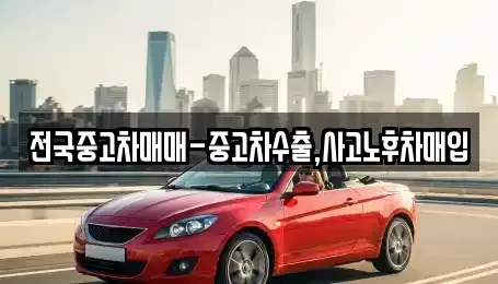 부산 영도구 남항동3가 중고차매매 전문 전국중고차매매-중고차수출,사고노후차매입