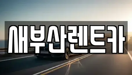 부산 영도구 신선동2가 렌트카 전문 새부산렌트카