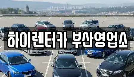 부산 중구 동광동5가 렌트카 전문 하이렌터카 부산영업소