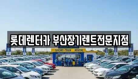 부산 중구 동광동5가 장기렌트카 전문 롯데렌터카 부산장기렌트전문지점
