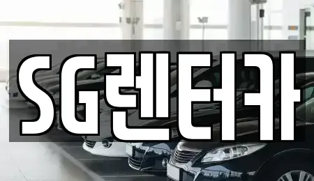 부산 중구 신창동4가 렌트카 전문 SG렌터카