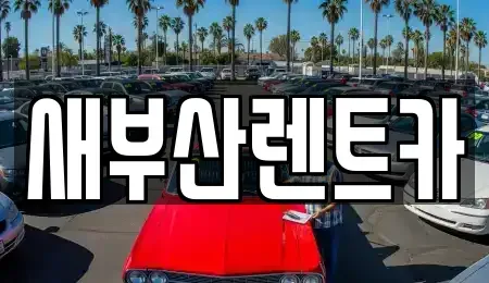 부산 중구 신창동4가 렌트카 전문 새부산렌트카