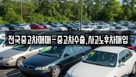 부산광역시 강서구 동선동 중고차 전문 전국중고차매매-중고차수출,사고노후차매입
